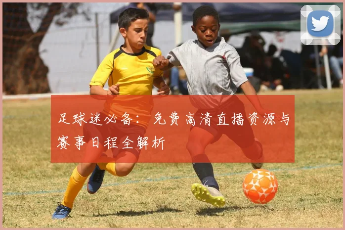足球迷必备：免费高清直播资源与赛事日程全解析